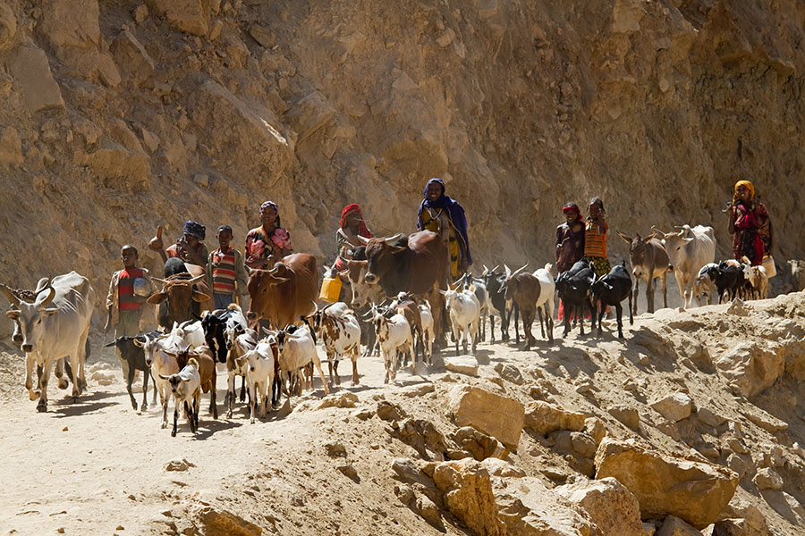 77   On the way to the river near the Sof Omar caves   Ethiopia 